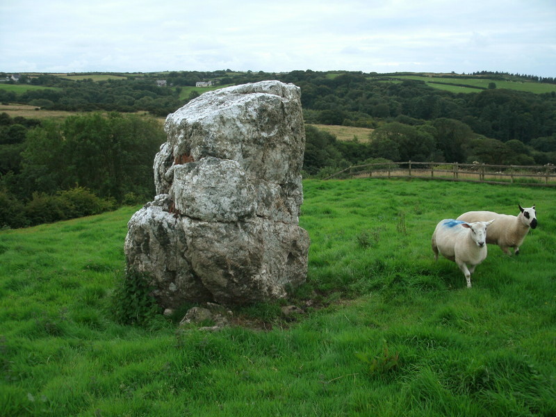 Whitestone (Lee), Devon | Megalithic Portal