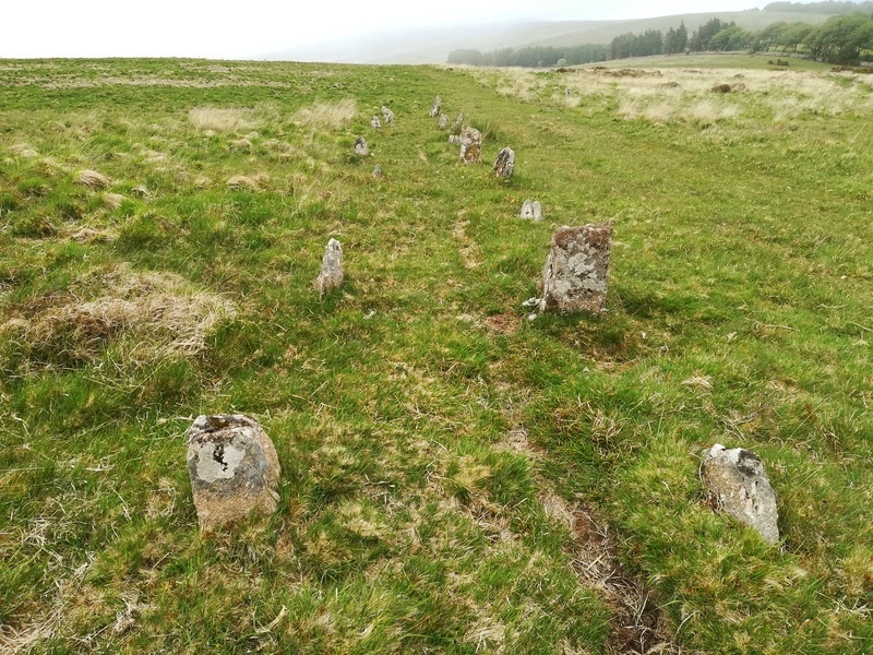 Shovel Down row 4