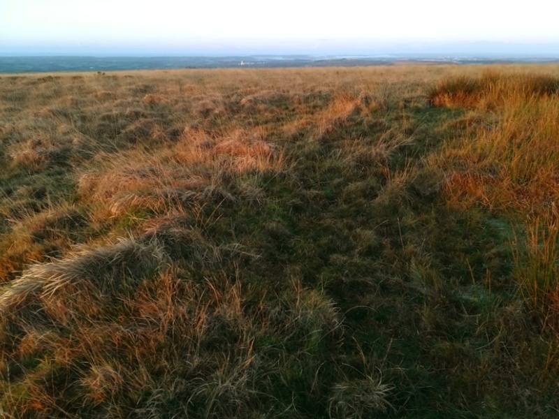 Click for full size image of Piles Hill Cairns (PID:222269) Piles Hill Cairns