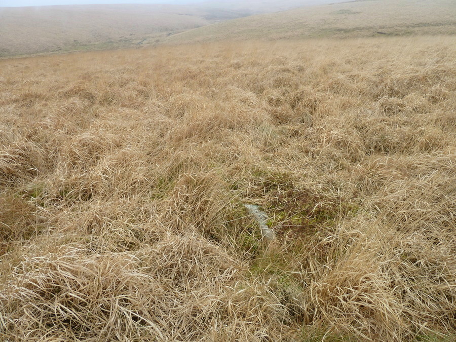 Deadman's Bottom D (PID:164855) Deadman's Bottom D