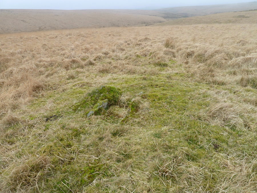 Click for full size image of Deadman's Bottom E (PID:164804) Deadman's Bottom E