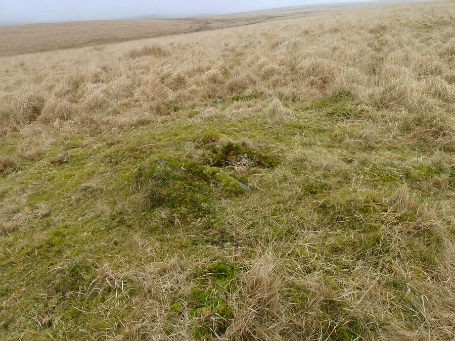 Click for full size image of Deadman's Bottom E (PID:164806) Deadman's Bottom E