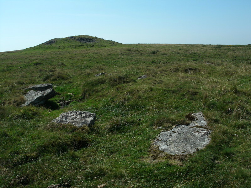 Butterdon Stone Circle