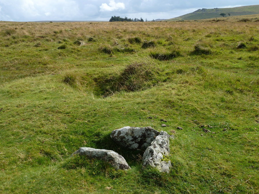 Outholme Newtake Cist and Gutter Tor.
