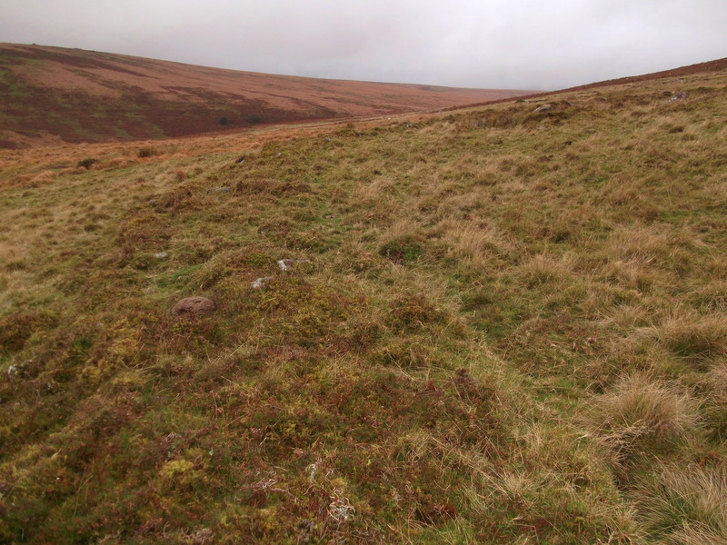 Brockhill Settlement, The slight bank at one of the enclosures that contain many huts.