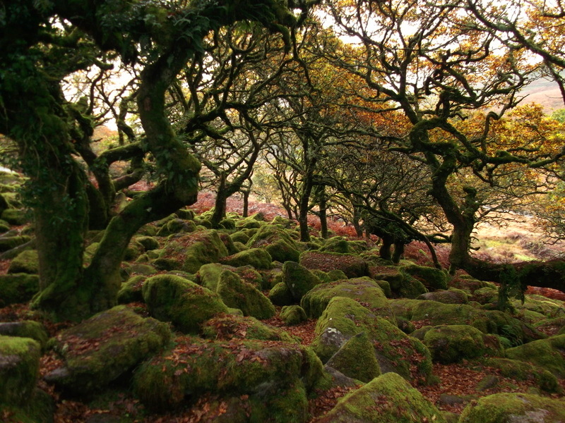 Click for the gallery page to add comments and vote (PID:144591) Wistman's wood Settlement