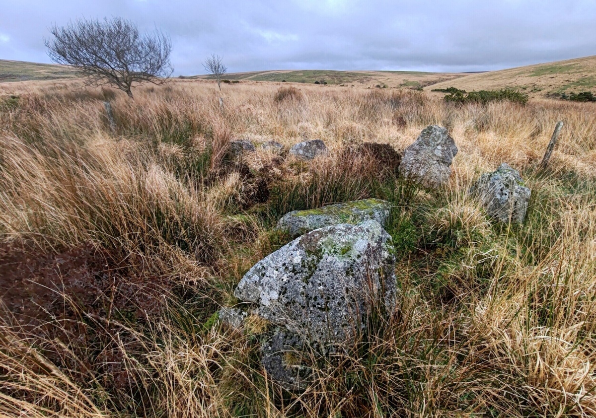 Dendles Waste