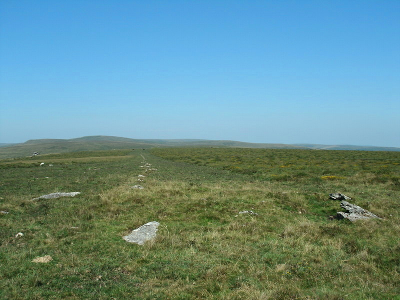 Butterdon Stone Circle with it's row disappearing into the distance, You can just see Hangershell rock at the far left of the photo.