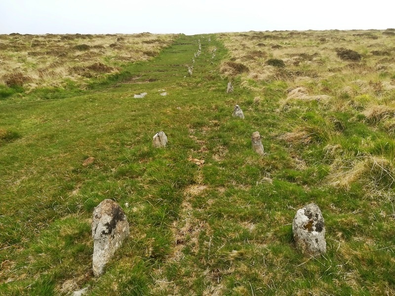 Shovel Down row 4