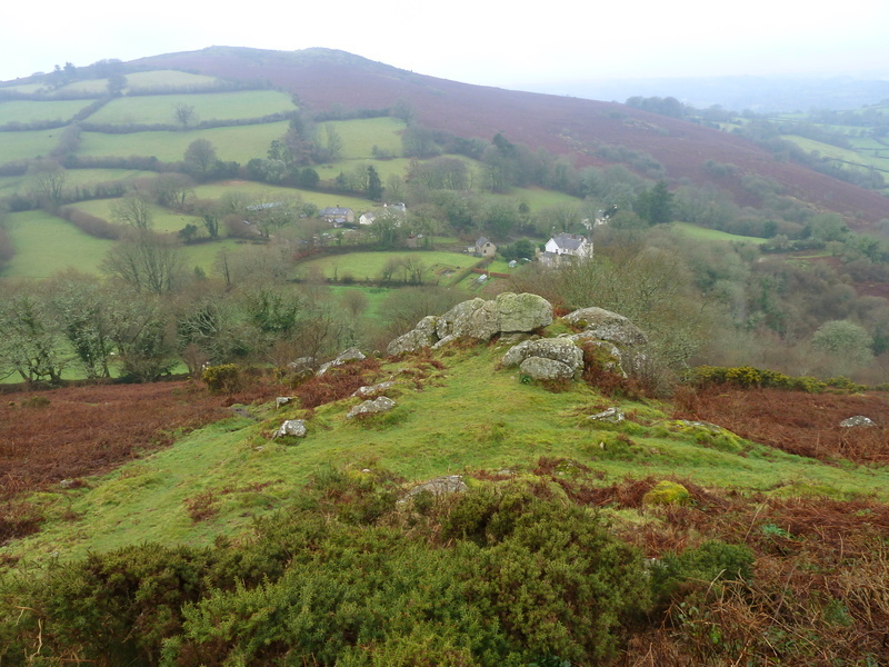 Natterdon Common fort