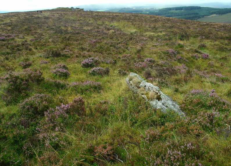 Birch Tor Cairn