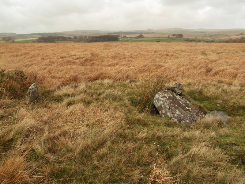 Swincombe cairn circle and cist