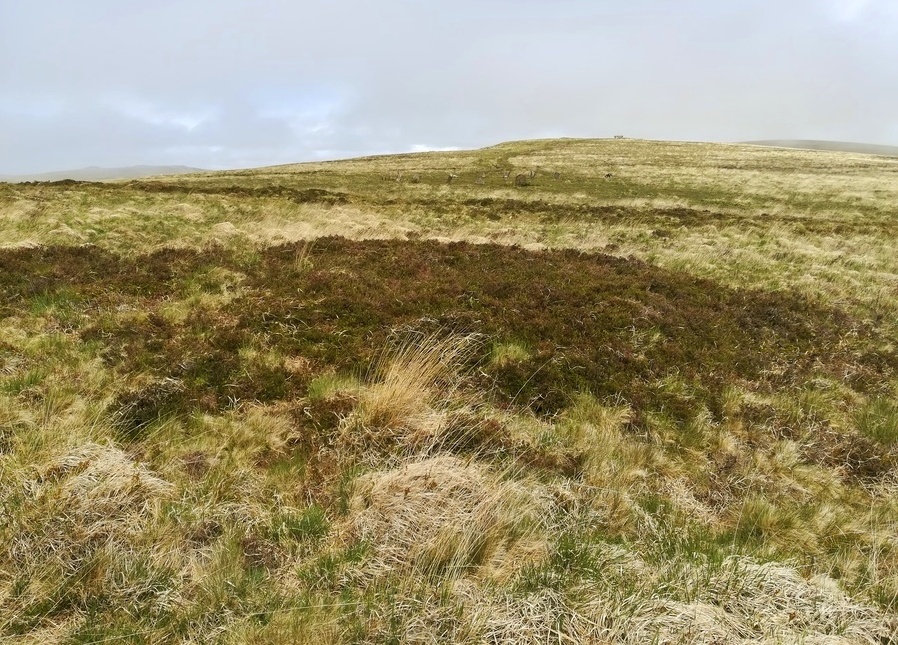 Click for full size image of White Moor Cairn (PID:228825) White Moor Cairn