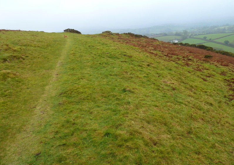Natterdon Common fort