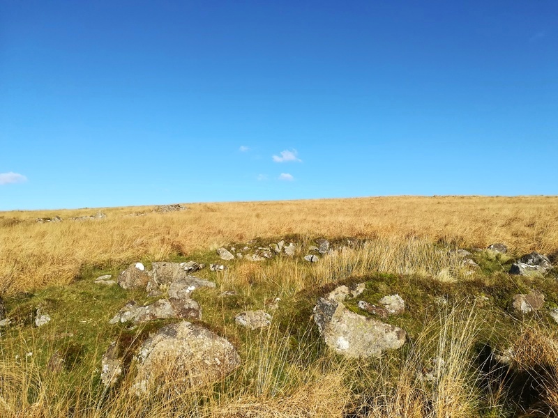 Hook Lake Settlement, The Hut with the stone row stone incorporated into it at SX64136525. You can see the Northern Enclosure wall in the background on the left