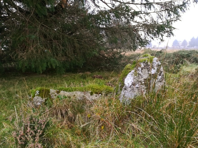 Click for full size image of Bellever Tor 2 (PID:222475) Bellever Tor 2