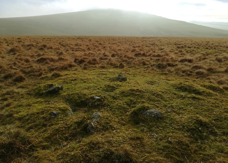 Click for full size image of Langstone Moor 2 (PID:240132) Langstone Moor 2