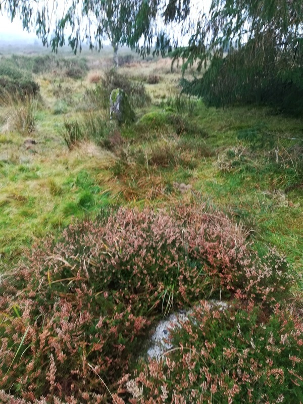 Click for full size image of Bellever Tor 2 (PID:222472) Bellever Tor 2