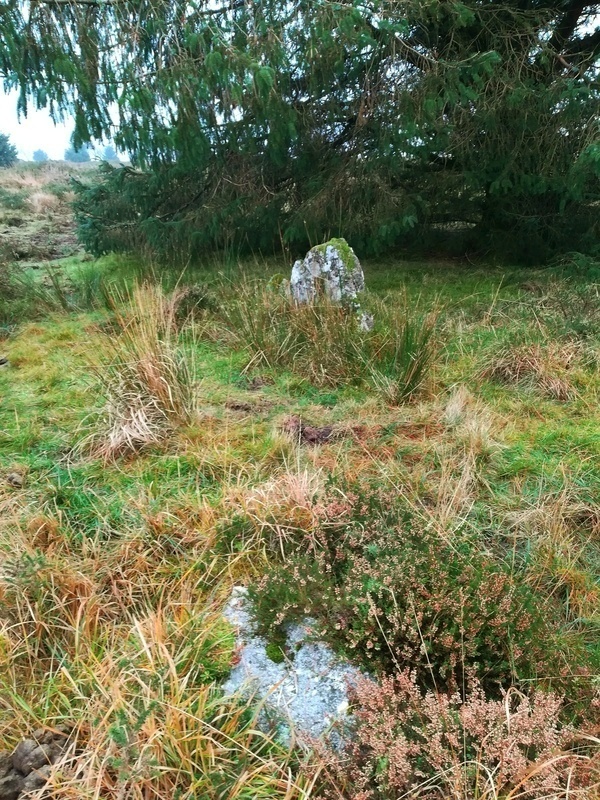 Click for full size image of Bellever Tor 2 (PID:222473) Bellever Tor 2