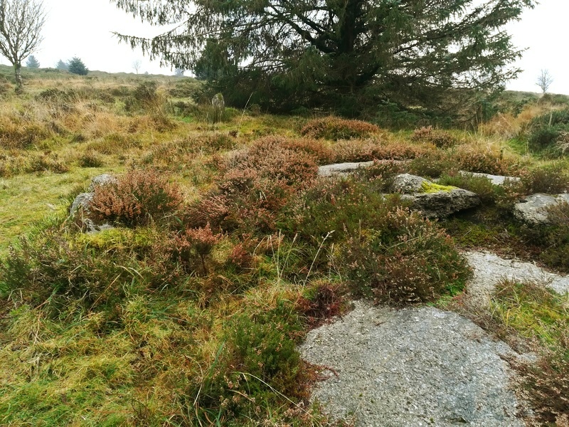 Click for full size image of Bellever Tor 2 (PID:222474) Bellever Tor 2