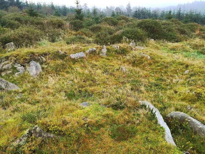 Click for full size image of Bellever Tor NE Settlement (PID:222486) Bellever Tor NE Settlement