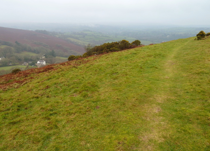 Natterdon Common fort