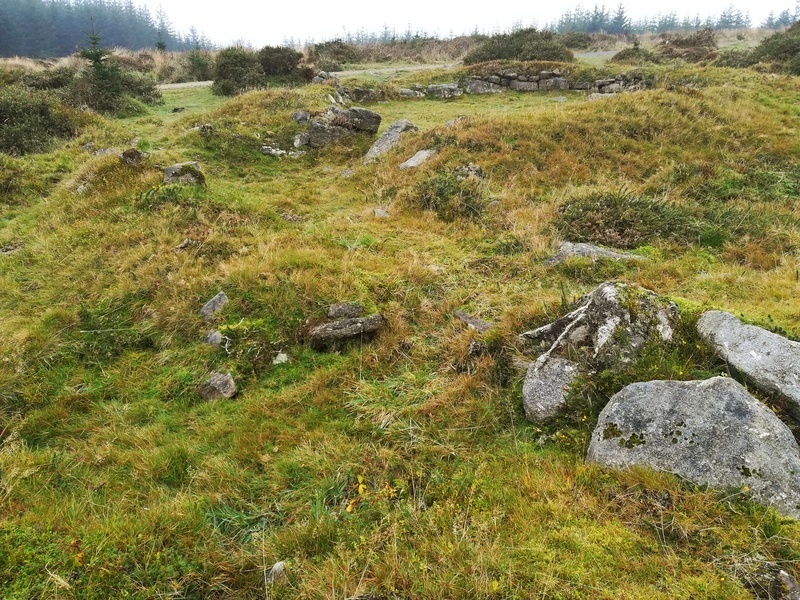 Click for full size image of Bellever Tor NE Settlement (PID:222488) Bellever Tor NE Settlement