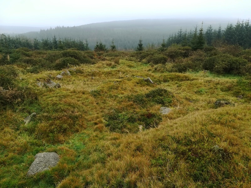 Click for full size image of Bellever Tor NE Settlement (PID:222489) Bellever Tor NE Settlement