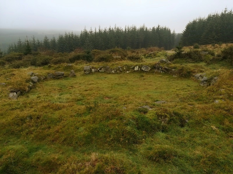 Click for full size image of Bellever Tor NE Settlement (PID:222490) Bellever Tor NE Settlement