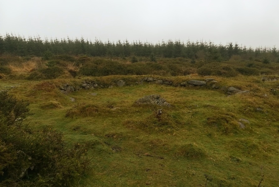 Click for full size image of Bellever Tor NE Settlement (PID:222487) Bellever Tor NE Settlement