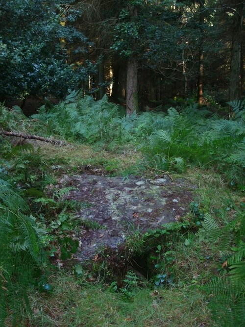 Click for the gallery page to add comments and vote (PID:124758) Langridge Wood Cist