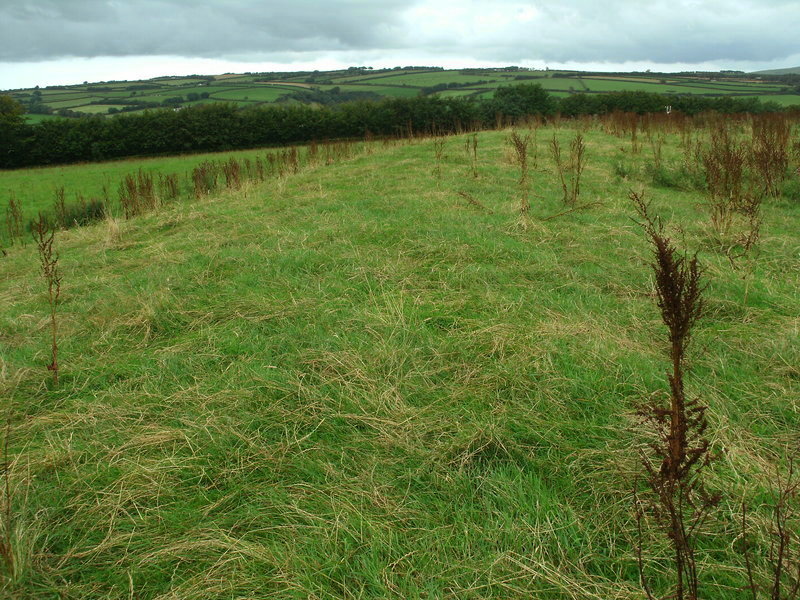 Stoke Rivers fort