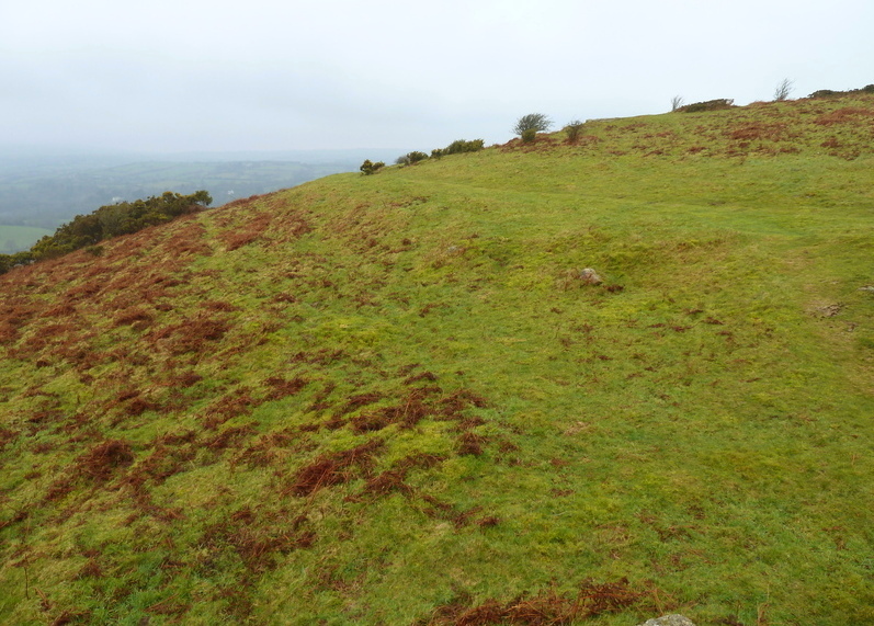 Natterdon Common fort