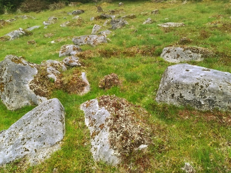 Click for full size image of Fernworthy settlement (PID:230362) Fernworthy settlement