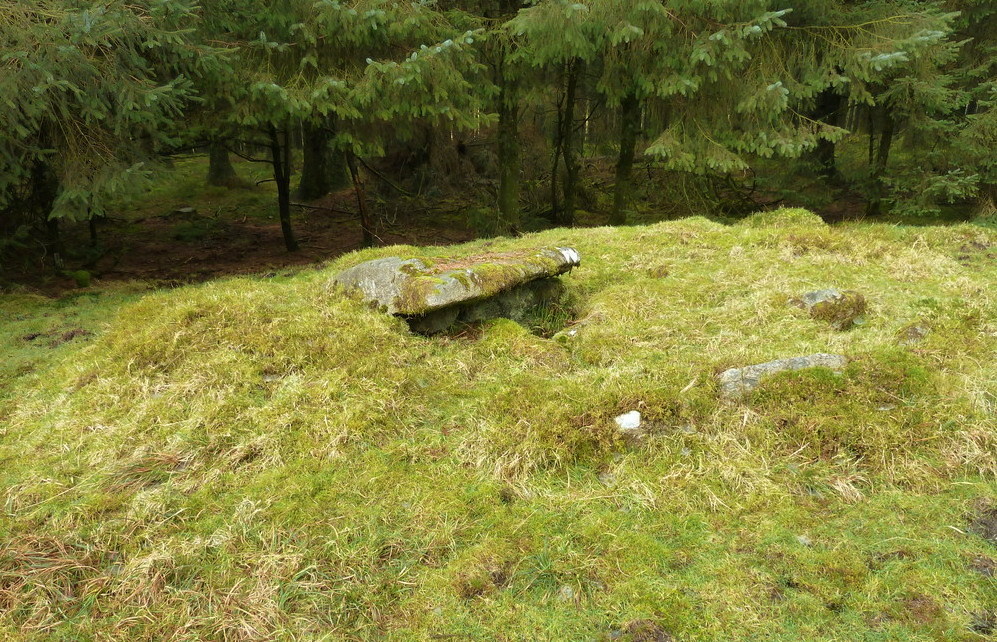Bellever Tor Cairn one.