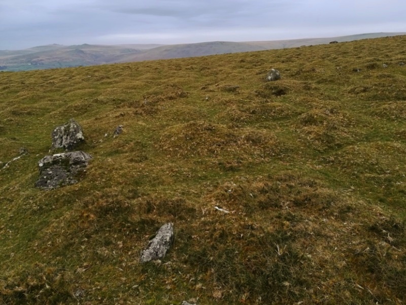 Click for full size image of Cudlipptown Down (PID:240194) Cudlipptown Down