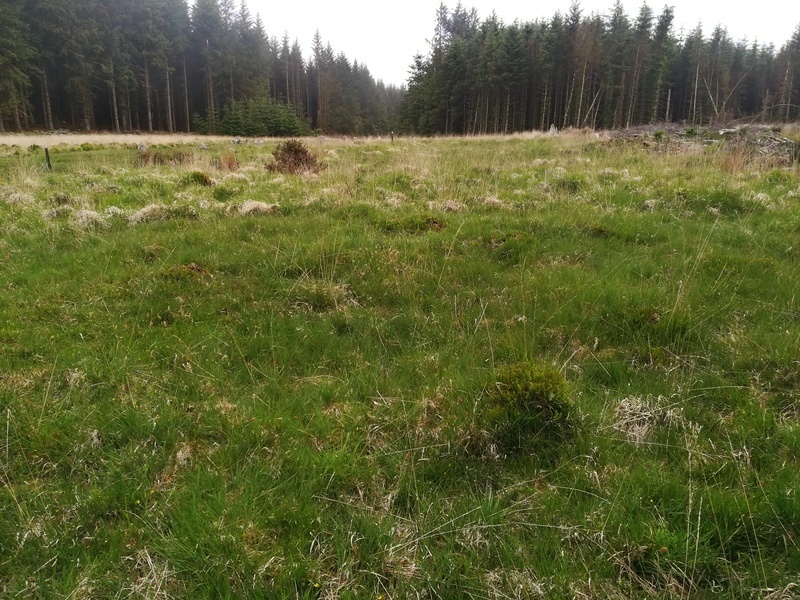 Click for full size image of Fernworthy Cairn 4 (PID:230334) Fernworthy Cairn 4