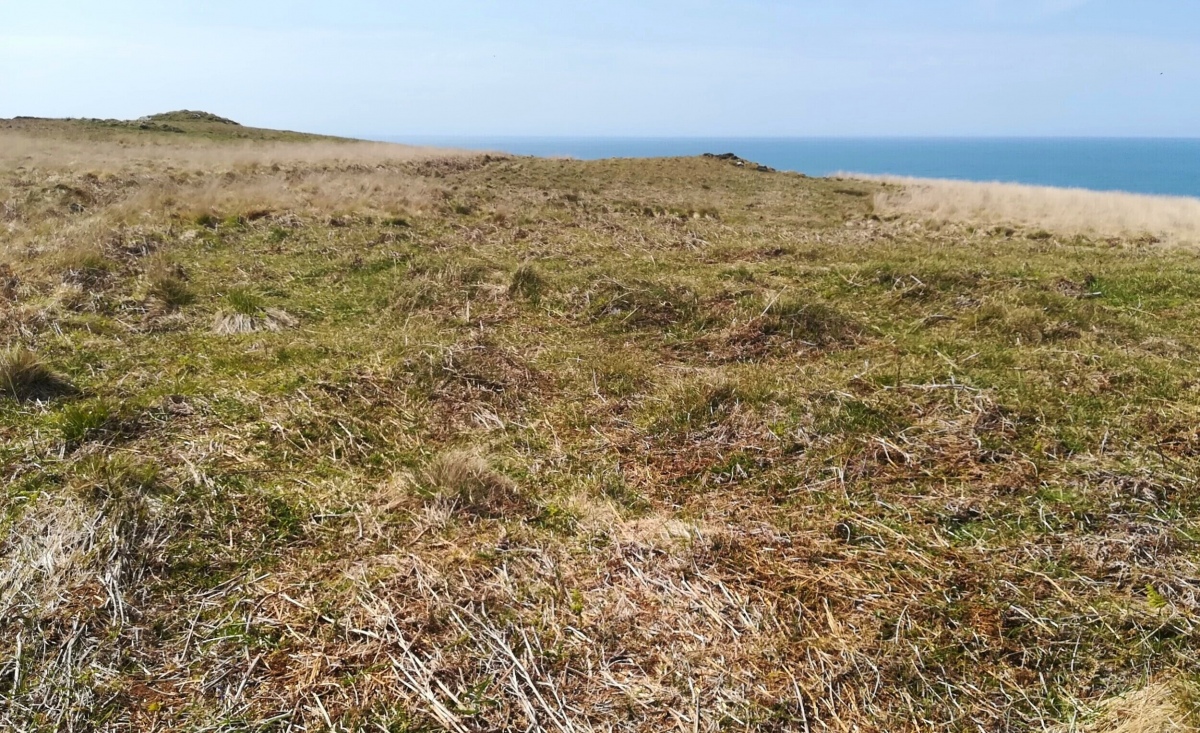Lundy Settlement