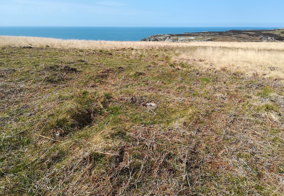 Lundy Settlement