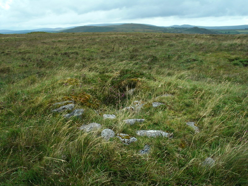Holne Ridge 7