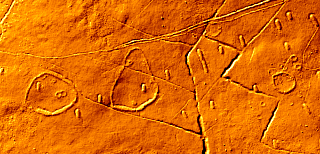 Huntingdon Warren Settlement