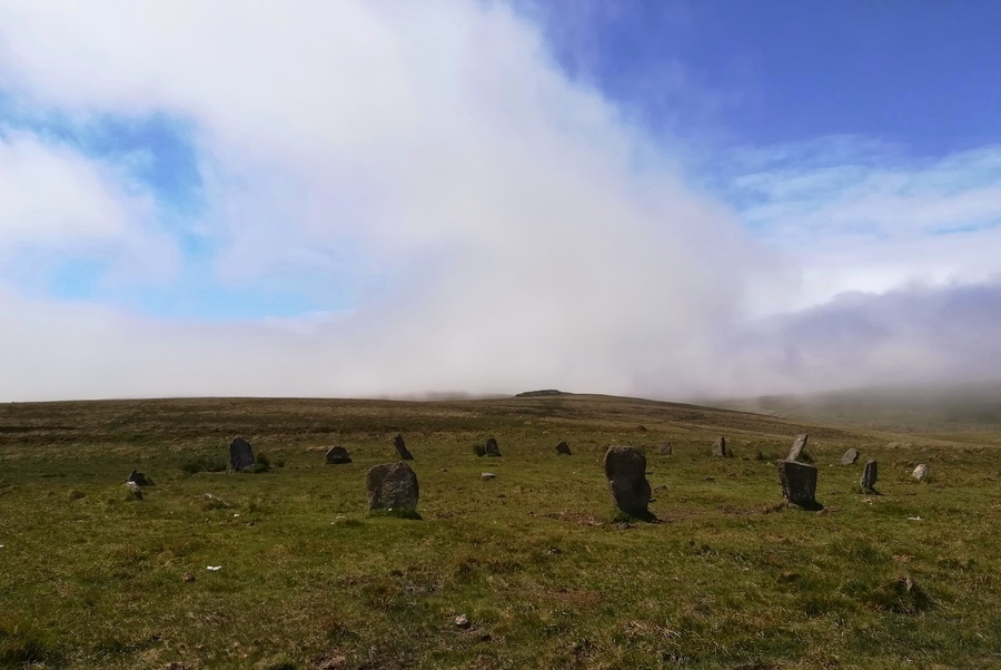 Click for the gallery page to add comments and vote (PID:228830) White Moor Down