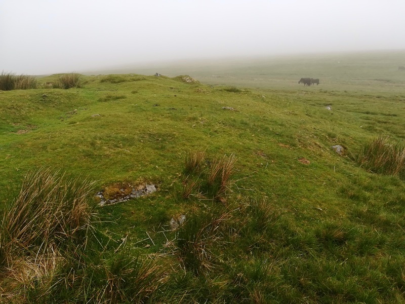 Click for full size image of White Barrow (Cocks Hill) (PID:235107) White Barrow (Cocks Hill)