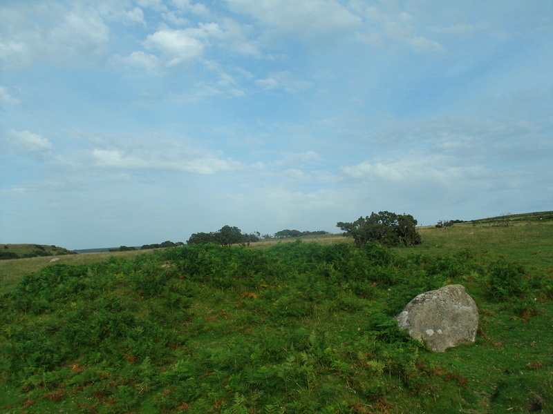 Click for full size image of Shaugh Moor Cairns (PID:113375) Shaugh Moor Cairns