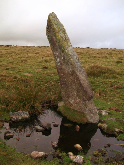 Click for the gallery page to add comments and vote (PID:144288) Harbourne Head Standing Stone