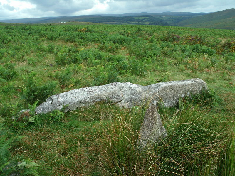 Click for full size image of Holne Moor (PID:113685) Holne Moor
