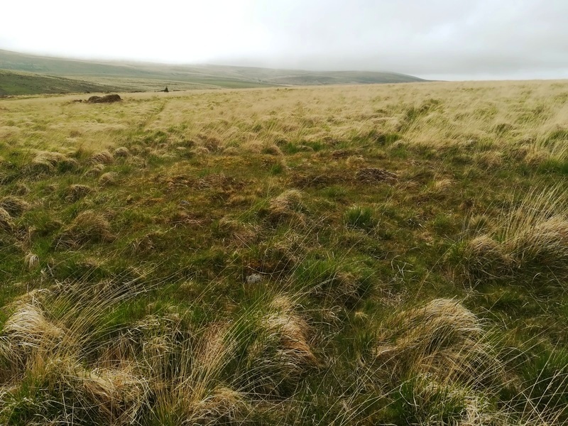 Click for full size image of Stonetor Hill Cairn Circle (PID:230331) Stonetor Hill Cairn Circle