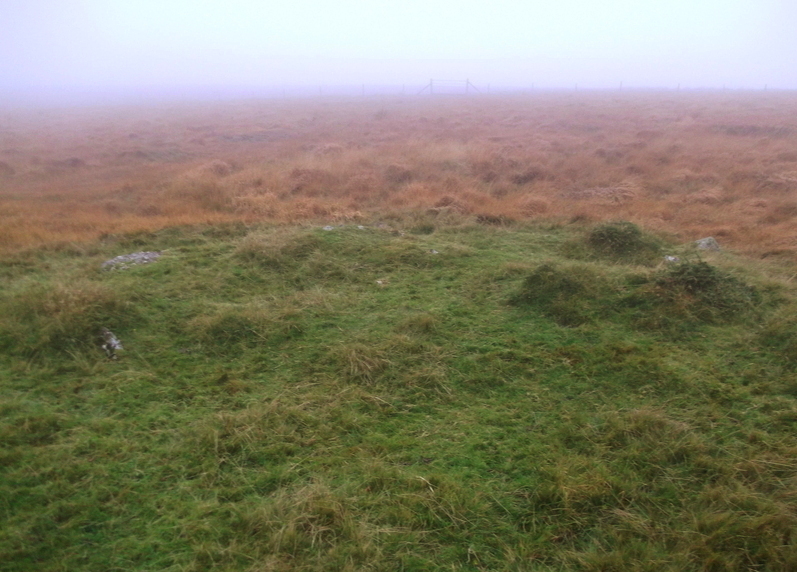 Click for full size image of Chittaford Down cairn circle and cist (PID:144460) Chittaford Down cairn circle and cist