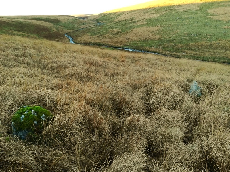 Buckland Ford, Is it a Stone Circle? a ruined Cairn? a ruined hut? It's on a hillside and your guess is as good as mine!
