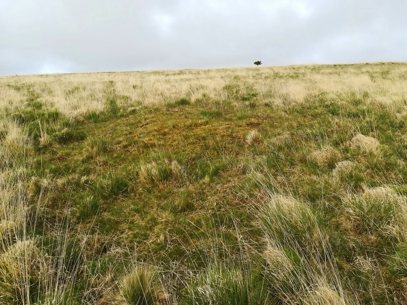 Click for full size image of Stonetor Hill Cairn Circle (PID:230332) Stonetor Hill Cairn Circle